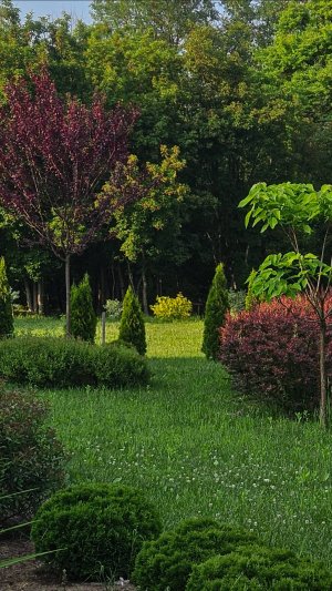 Участок 82 сотки станице Крепостной