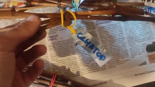 Подготовка черенков винограда для будущего проращива