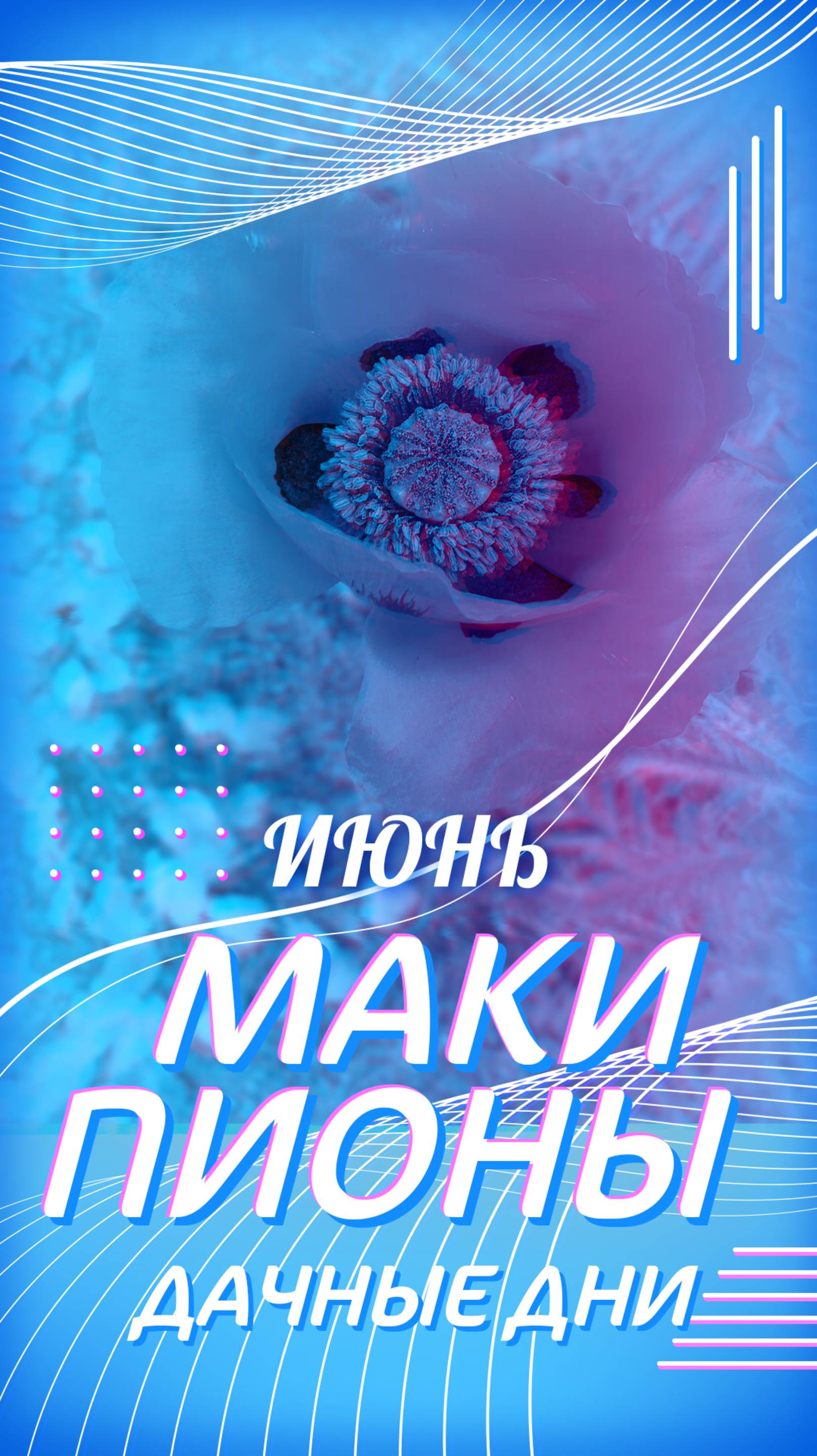 Маки и бутоны пионов смотреть онлайн