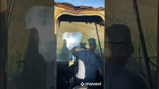 Битва за урожай 2024