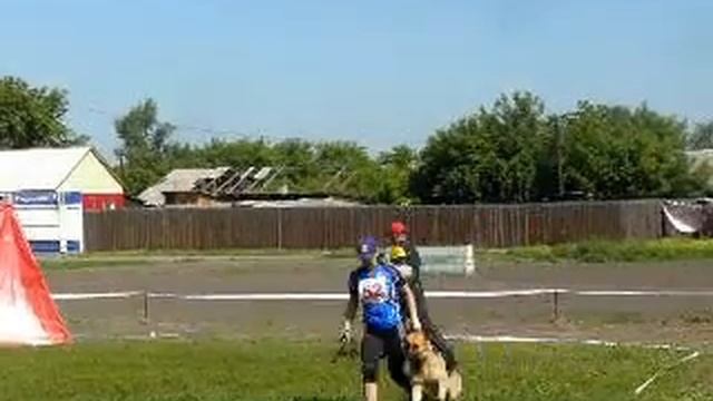 Нарния с Саянских Гор в/о, Абакан 2014