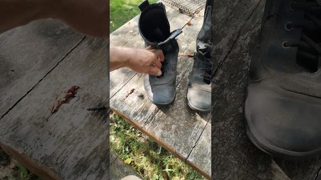 Отзыв на берцы Sport Classics