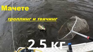 Новинки луремакс косят судака и щуку