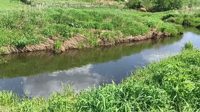 Рыбалка на хапуги, за огородом у дома. смотреть онлайн