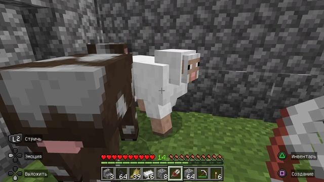 Minecraft День стрижки (BRONZE)