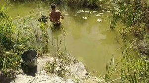 Чистка и углубление пруда