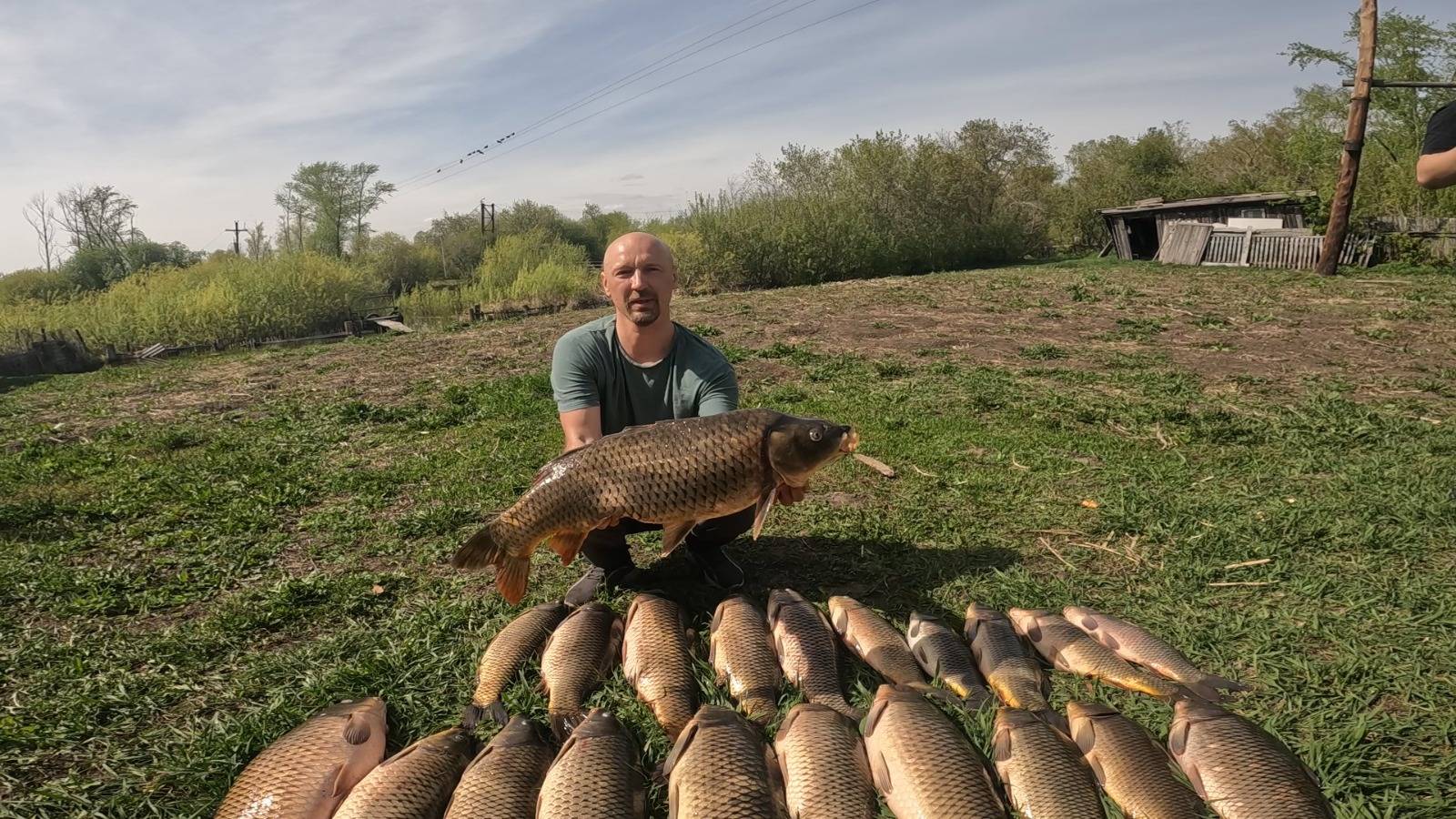 200кг САЗАНА ЗА ЧАС ИЛИ ТОННЫ САЗАНА В ТРУБЕ Рыбалка на паук. Рыбалка 2025 Рыбалка на паук