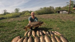 200кг САЗАНА ЗА ЧАС ИЛИ ТОННЫ САЗАНА В ТРУБЕ Рыбалка на паук. Рыбалка 2025 Рыбалка на паук