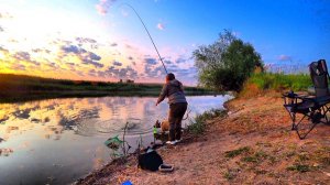 РЫБАЛКА С НОЧЕВКОЙ! ЭТОТ ЛАПОТЬ ГНЁТ УДОЧКУ! СОБАКА ЛОВИТ РЫБУ!