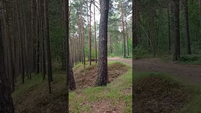 дождик лей-лей, чтобы было веселей смотреть онлайн