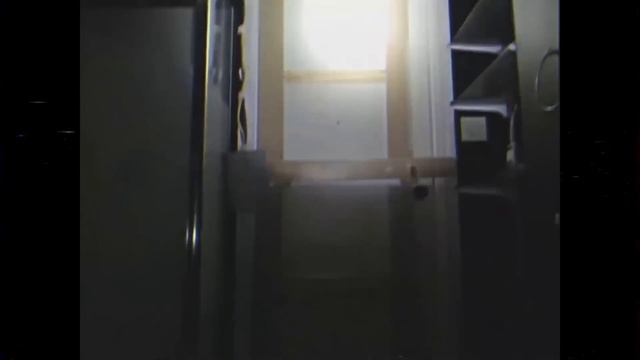 ЖИВОЕ МЯСО Не УСПОКАИВАЕТСЯ! — Аналоговый ХОРРОР 