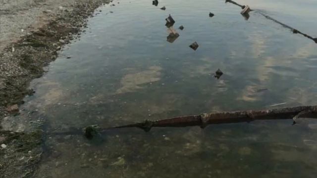 Фениксэкострой - номер 1 в Саратовской области по очис? смотреть онлайн