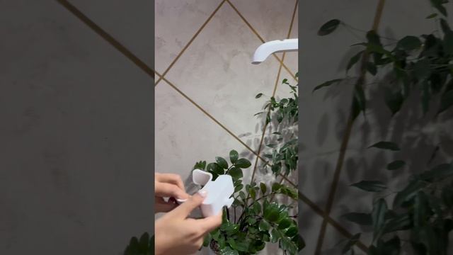 Полная сборка напольного парового отпаривателя Aulandi R смотреть онлайн