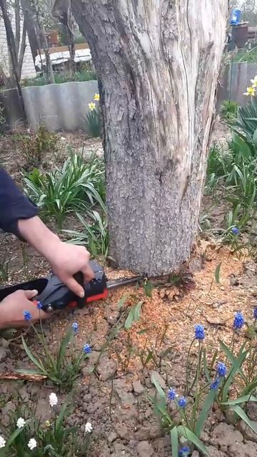 обзор Asset_1_h264 (1)