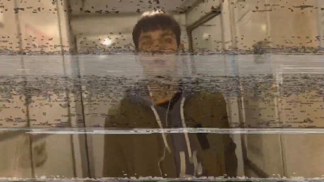 Смотри пока не удалили! Этот реп взорвет весь мир! «В п? смотреть онлайн