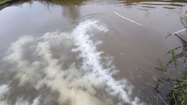 Свой пруд в деревне ч.12 Известкуем,новые измерения PH,а?