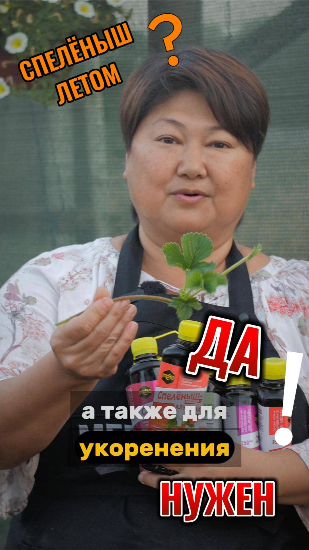 Чем поможет летом клубнике удобрение СПЕЛЁНЫШ для рассады?