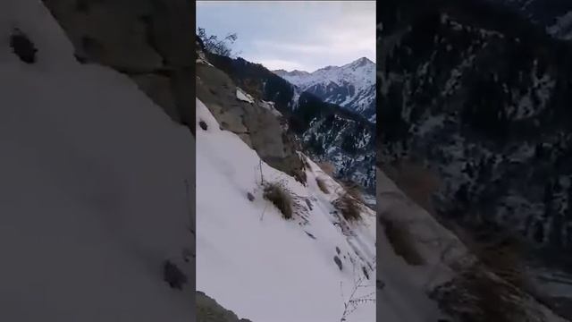 Японская лестница