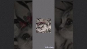 Дай мне собраться в смысле я не могу/гипнозы speed up