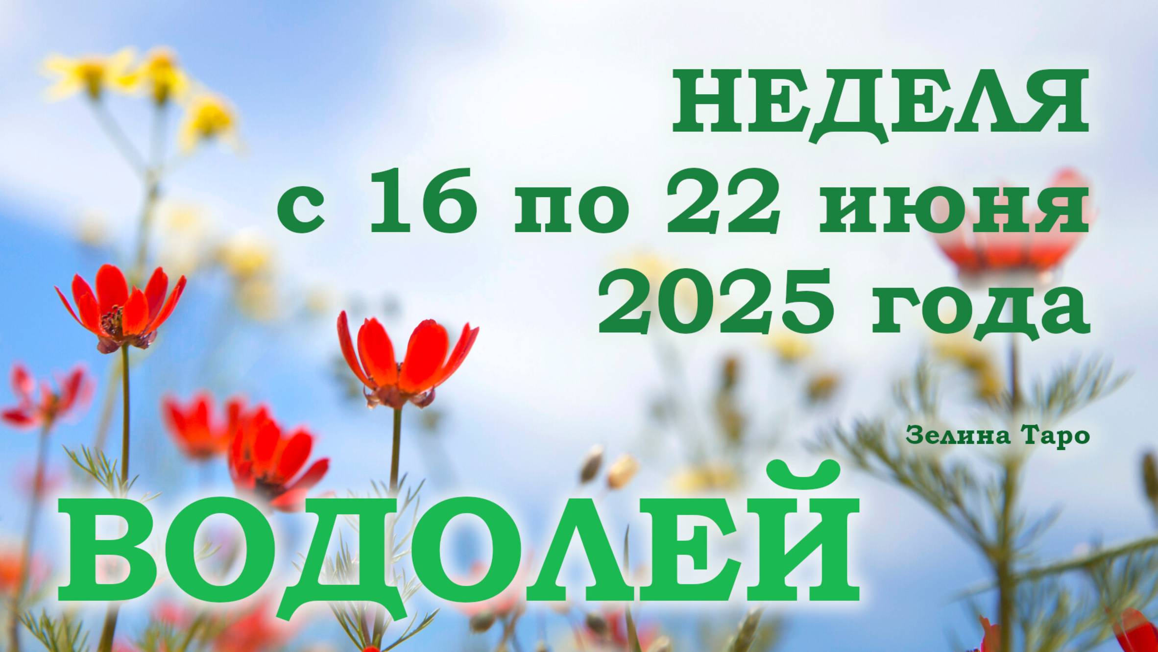 ВОДОЛЕЙ | ТАРО прогноз на неделю с 16 по 22 июня 2025 года