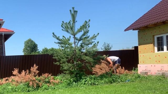 На даче #16/ИВАН КУПАЛА//купаемся/собираем травки для ча смотреть онлайн