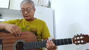 Трансакустический модуль X2 Double OS1 на классической гит?