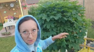 Видео привет с 6 соток 11 июня 2025 года