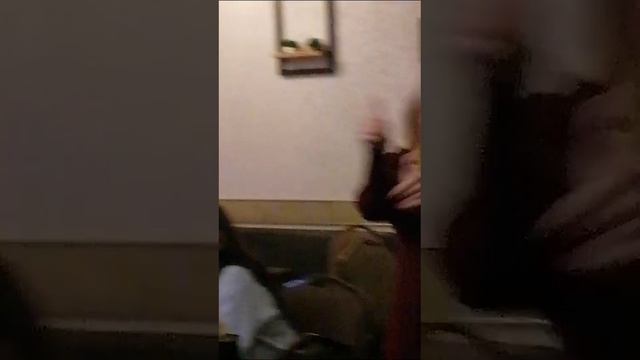 VID-20241030-WA0001.mp4 смотреть онлайн