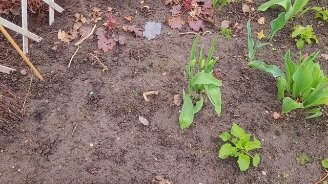 Красоту навожу. Цветники в порядок привожу .