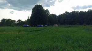 Спаниели поволжья Ульяновска в Рязанье 2025г.