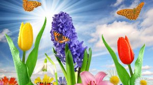 Пустые баночки в мае 2025 г., мои отзывы.