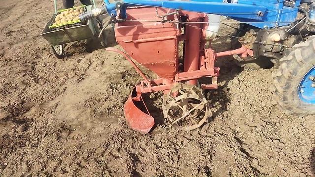 Кращі. ранньостиглі сорти картоплі,посадка 14 квітня 202 смотреть онлайн