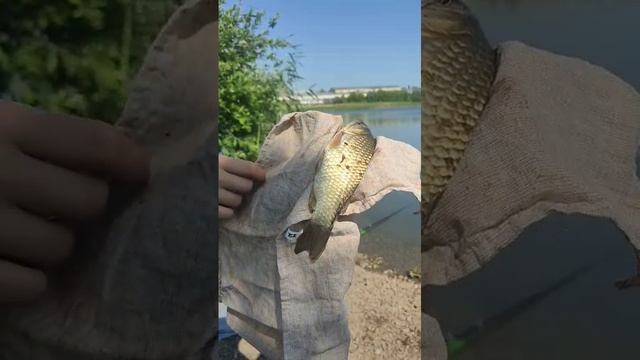 Анна на рыбалке -1.