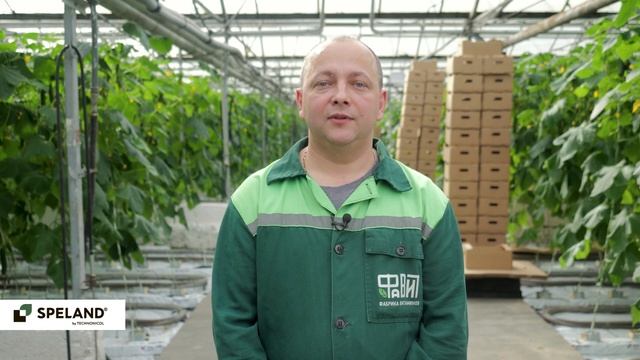 SPELAND. Отзыв клиента. ТК «Минская овощная фабрика» в Мин