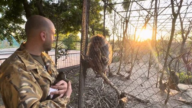 Анфиса проявляет интерес к родственникам и даже ТЯНЕТСЯ РУЧКАМИ смотреть онлайн