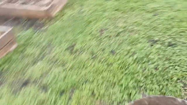 Чем подкормить газон?Компост идёт в дело 🙂 3.05.25г.