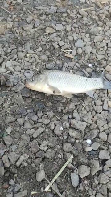 Анна на рыбалке -2.