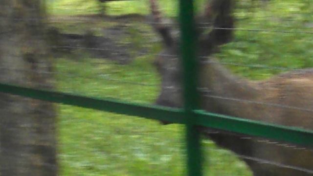 DSCN8048 Парк Шерстяник город Невинномысск июнь 2025