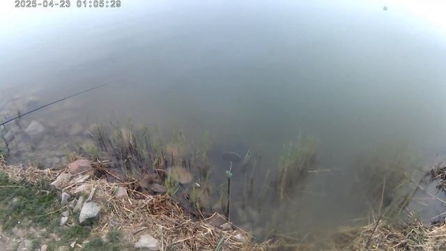 Рыбалка близ Алматы. Рыбацкая усадьба, открытие сезон?