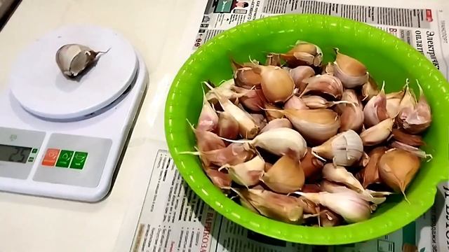 Зубок чеснока на посадку весом 30гр