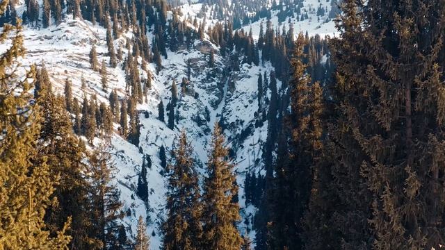 Vlog #12 Зимний поход на кок жайляу. (15.02.2025) смотреть онлайн