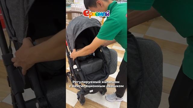 Коляска-трансформер Emily