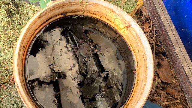 Спасаю свою картошку .