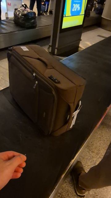 Потеряли багаж. Аэропорт Внуково смотреть онлайн