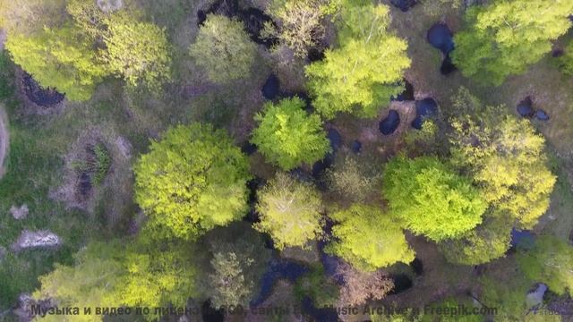 Музыка, которая УБИВАЕТ и ВОСКРЕШАЕТ! - Unconscious -- Selfpity -- Unhappy Thoughts