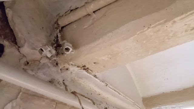 Наконец-то ремонт ,добралась до лестницы,начать начал?