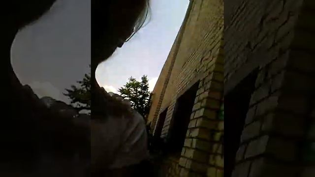 Мистическая история (кукла с синими волосами)