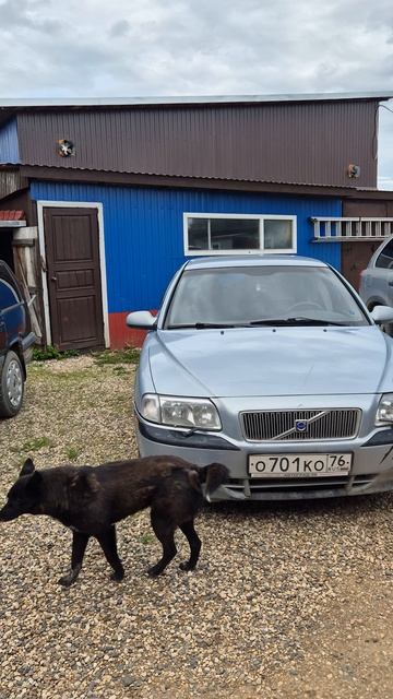 Volvo семья смотреть онлайн