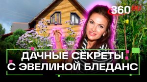 Борьба с вредителями. Идеи для декора. Правила посадки укропа. Дача 360. Эвелина Бледанс