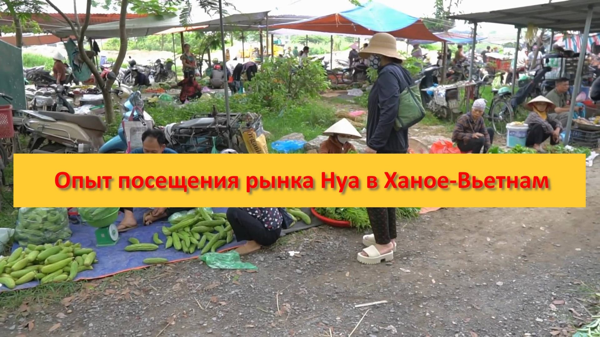 Опыт посещения рынка Нуа в Ханое-Вьетнам смотреть онлайн